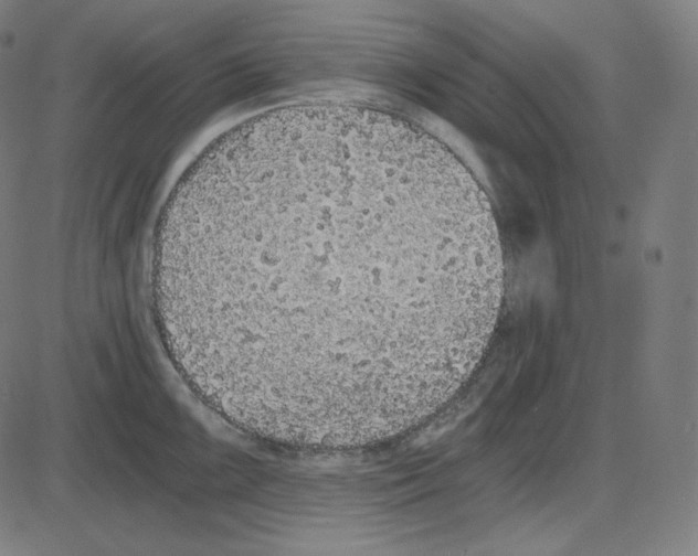 X0000084041099200703161825