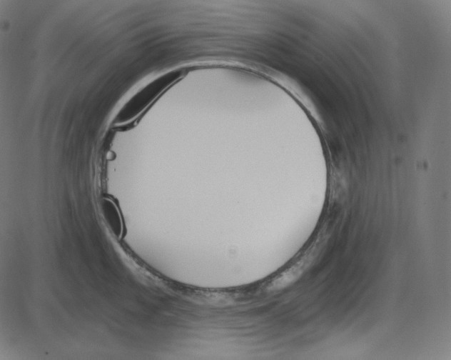 X0000084041101200703161825