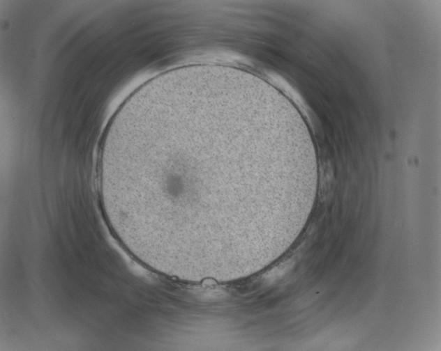 X0000084041103200703161825