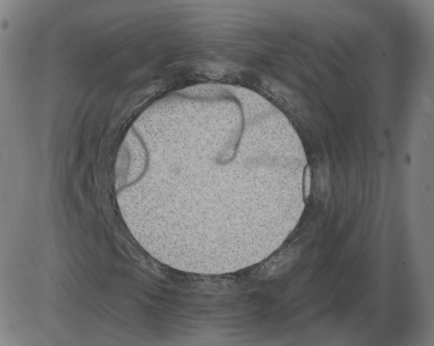 X0000084041105200703161824