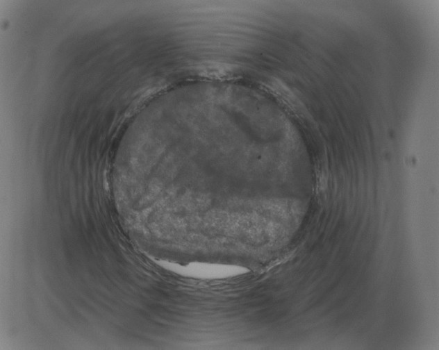 X0000084041106200703161824