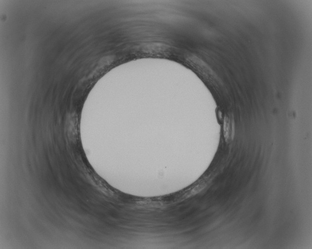 X0000084041107200703161824