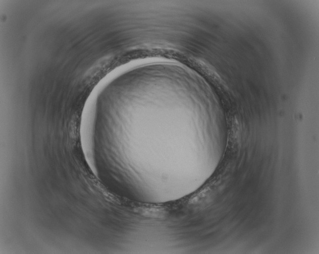 X0000084041110200703161824