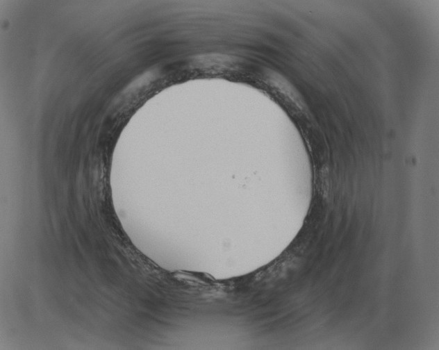 X0000084041111200703161824