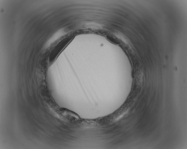 X0000084041112200703161824