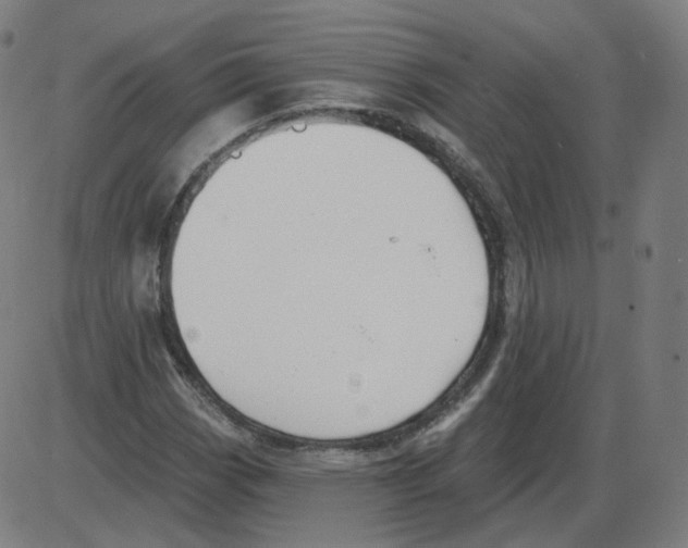 X0000084041113200703161824