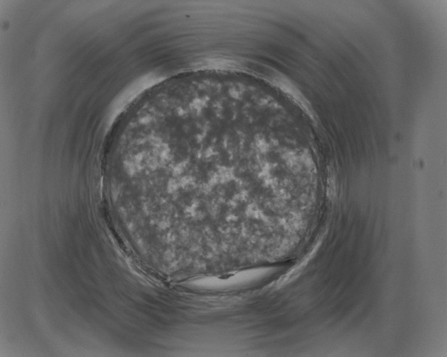 X0000084041117200703161824