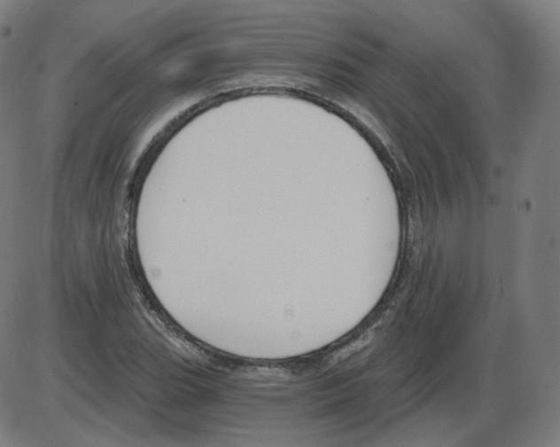 X0000084041119200703161824