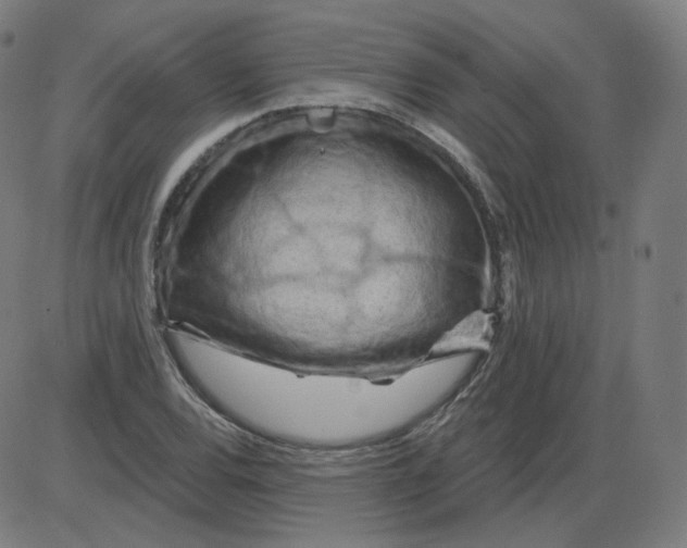 X0000084041120200703161824