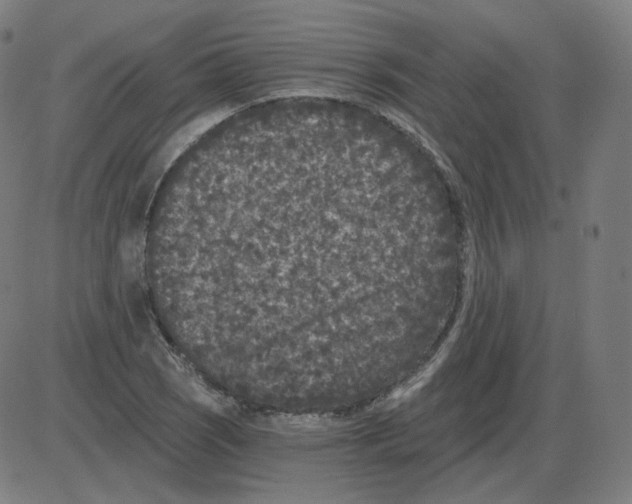 X0000084041121200703161824