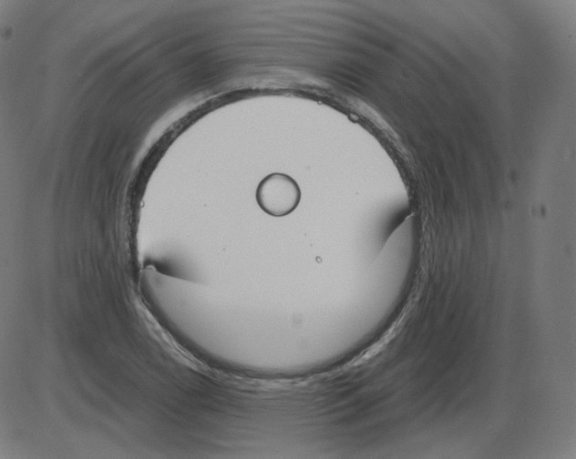 X0000084041122200703161824