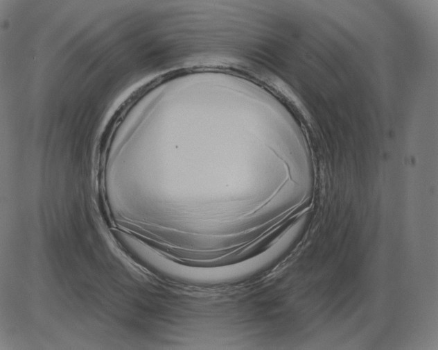 X0000084041124200703161824