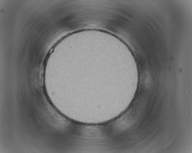 X0000084041126200703161824