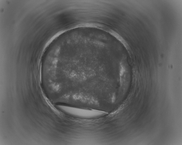 X0000084041127200703161824