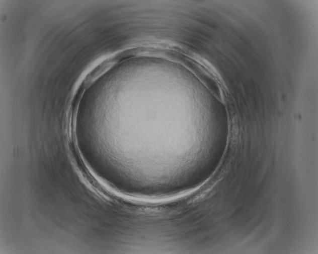 X0000084041128200703161824