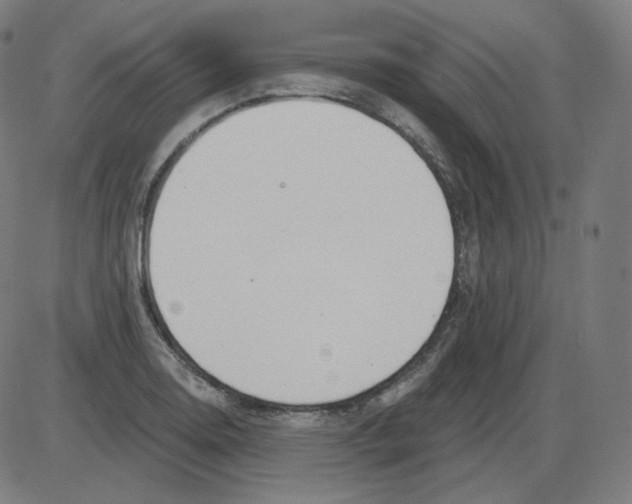 X0000084041130200703161824