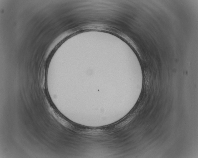 X0000084041131200703161824