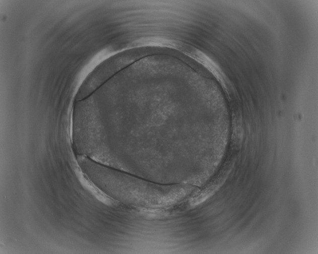 X0000084041132200703161824