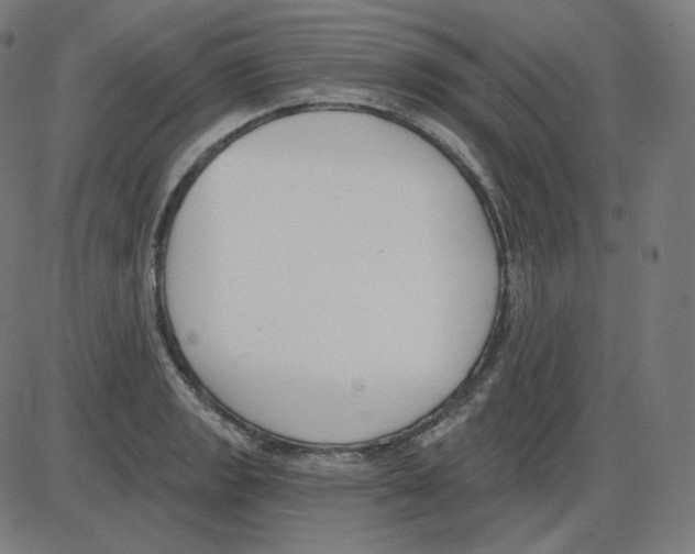 X0000084041133200703161824