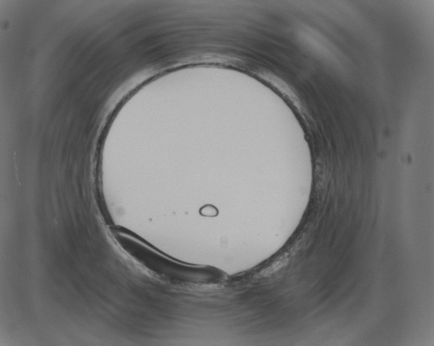 X0000084041135200703161824