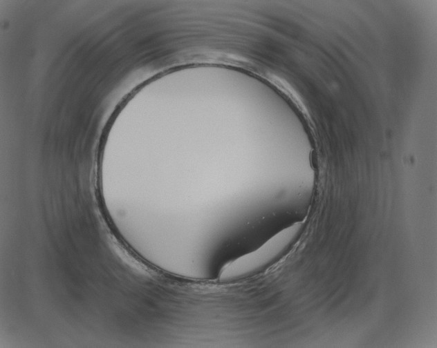 X0000084041136200703161824