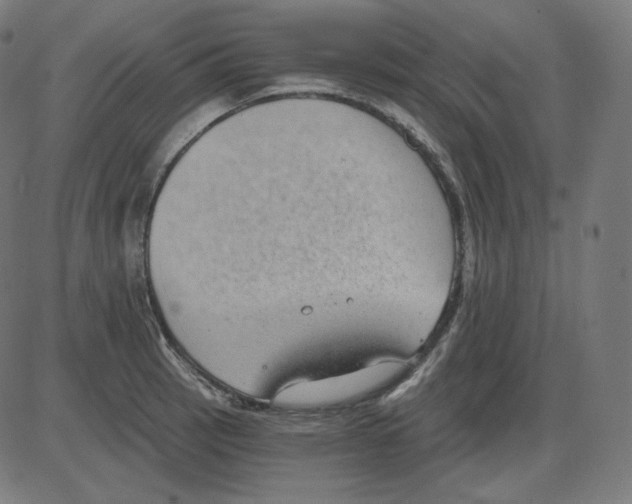 X0000084041137200703161824