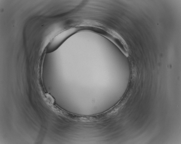 X0000084041138200703161825