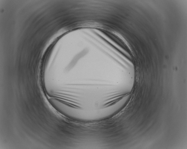 X0000084041139200703161825