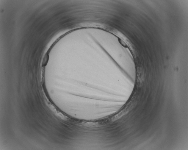 X0000084041140200703161825