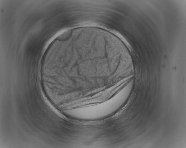 X0000084041142200703161825