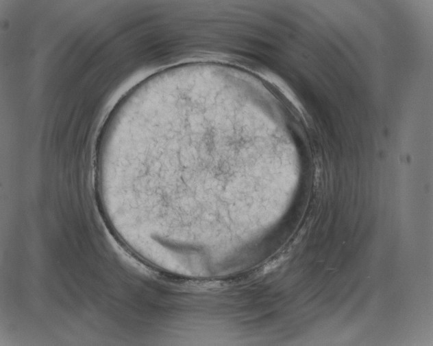 X0000084041143200703161825