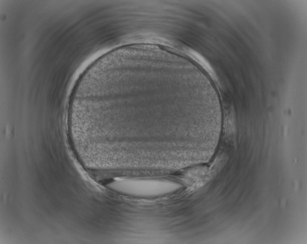 X0000084041144200703161825