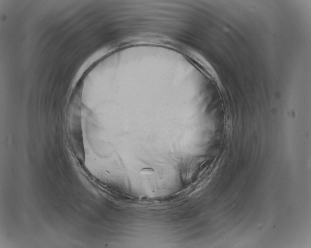 X0000084041146200703161825