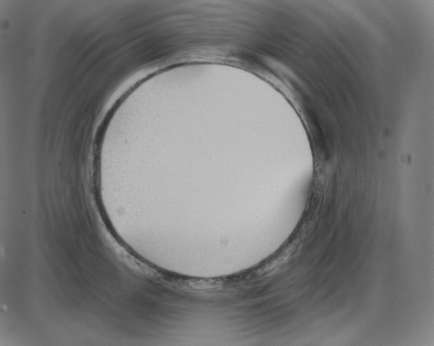 X0000084041147200703161825