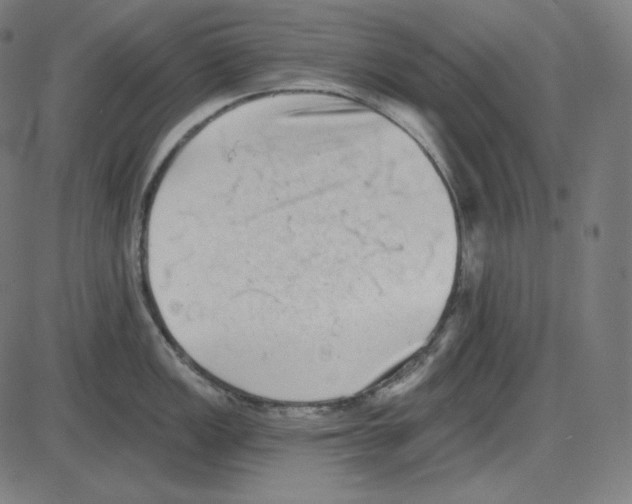 X0000084041149200703161825