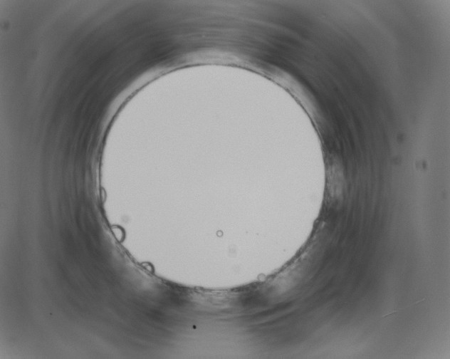 X0000084041150200703161825