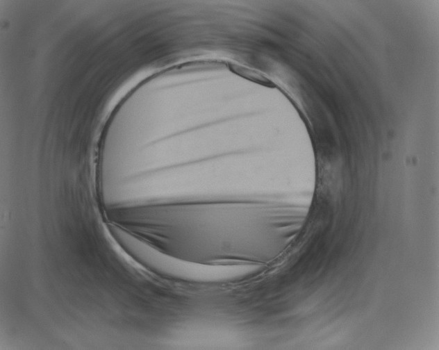 X0000084041151200703161825