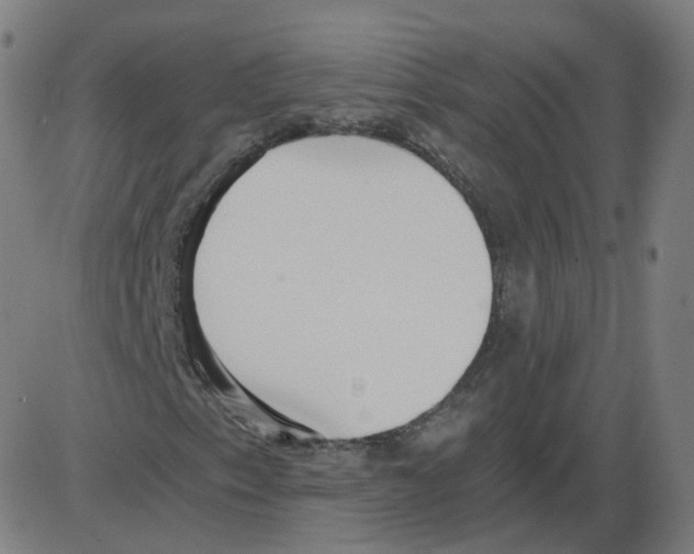 X0000084041153200703161824