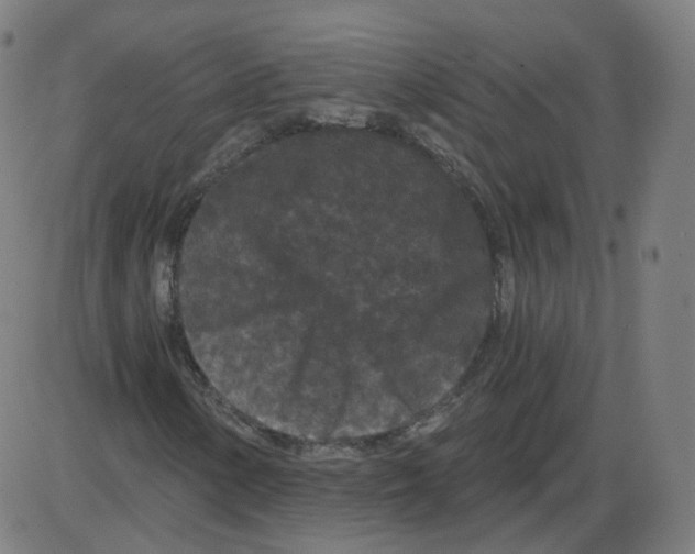 X0000084041154200703161824