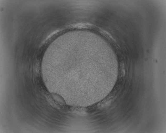 X0000084041158200703161824