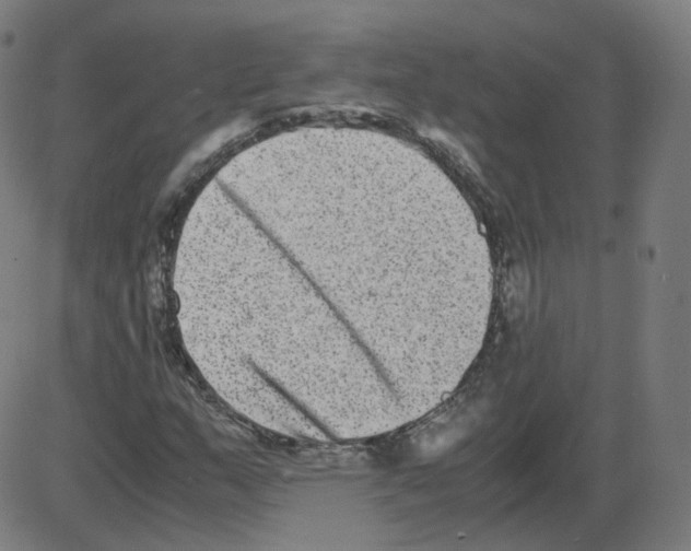 X0000084041159200703161824