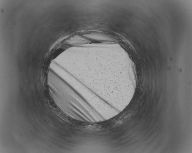 X0000084041160200703161824