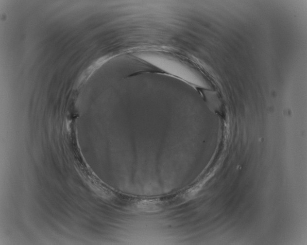 X0000084041161200703161824