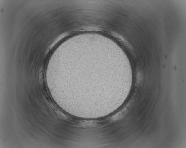 X0000084041162200703161824