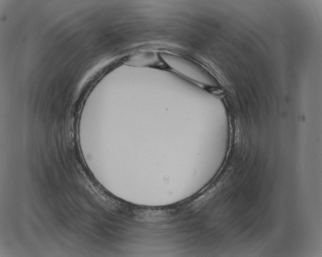 X0000084041164200703161824