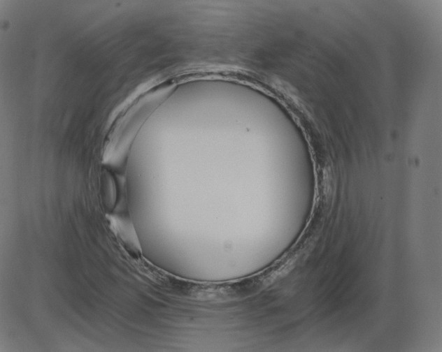 X0000084041165200703161824