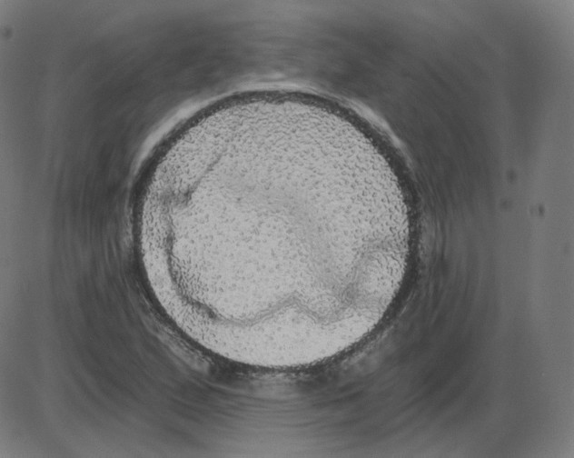 X0000084041167200703161824