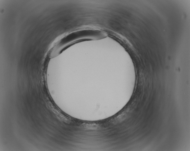 X0000084041168200703161824