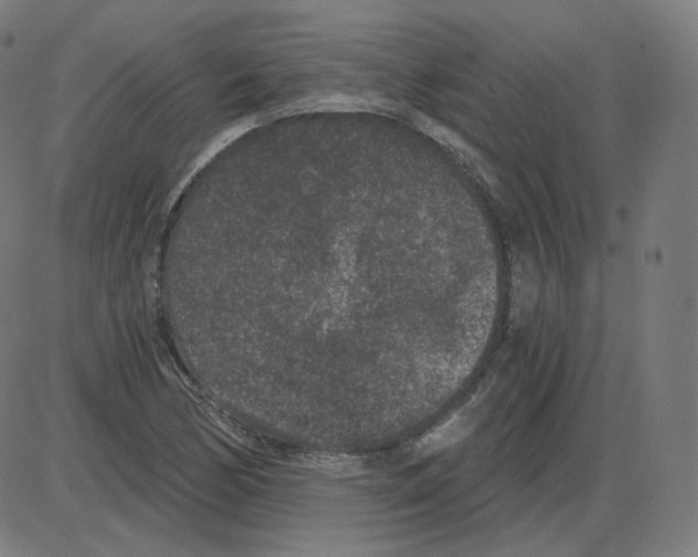 X0000084041170200703161824