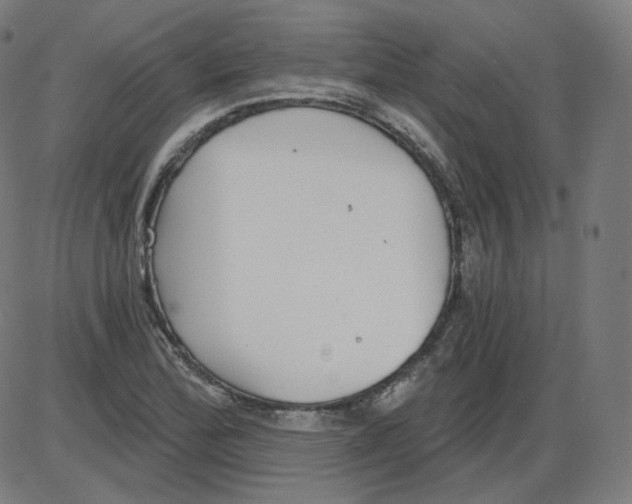 X0000084041172200703161824